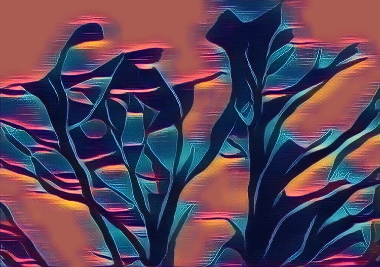 looq 20220324 162739