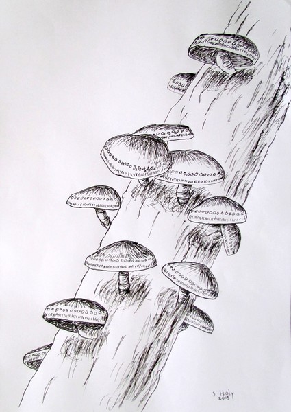 MUSHROOM SHIITAKE - INK