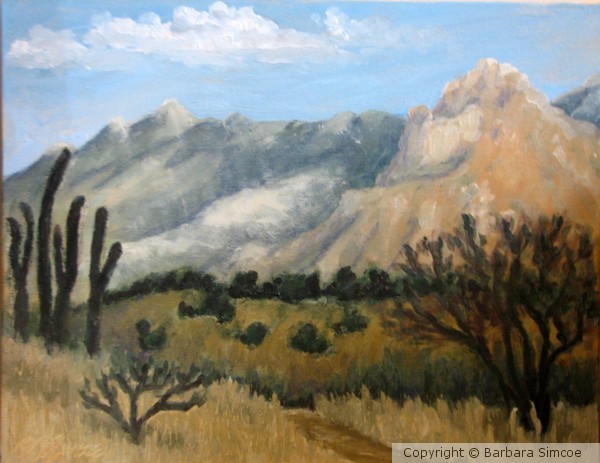 Sunny Catalinas