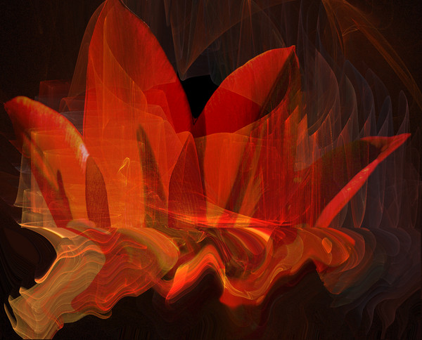 Fire in a flower