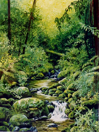 Bush Beauty