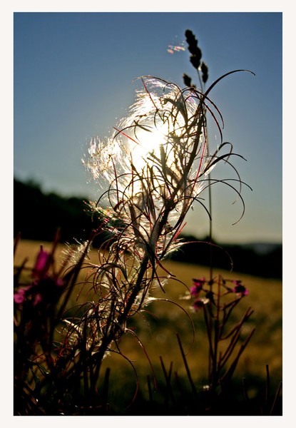 The veil of the nature