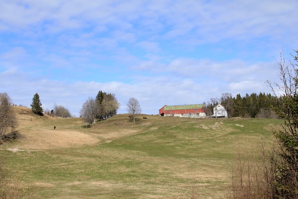 Norwegian farm in the countryside