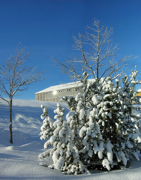 Winter mood