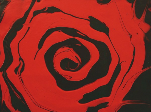 Red Target Rose 