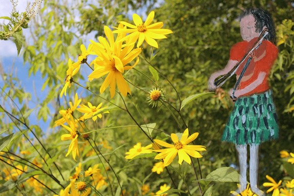 Yellow Flowers for the violinist