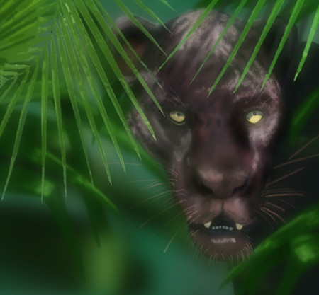 Panther