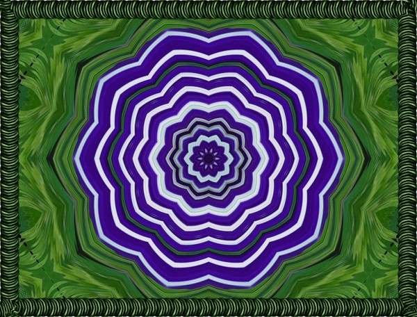 Purple and White Delite