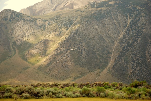 Sierra Flyin, Mammoth Airport