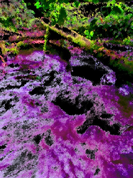 EL RIO