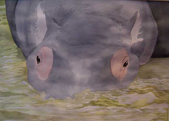 Hippo