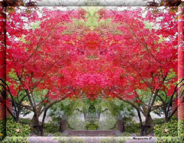 Autumn Reds