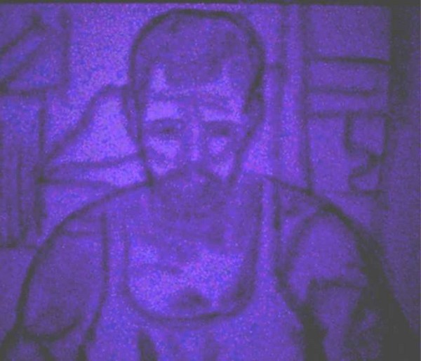 Tony Pavia