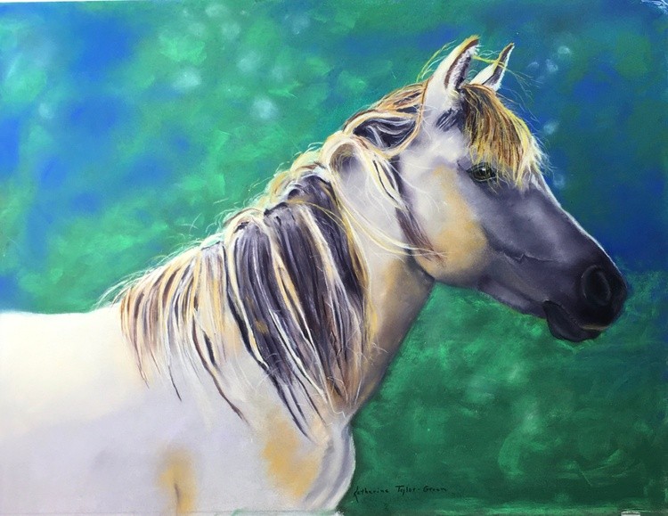 Wild Mustang