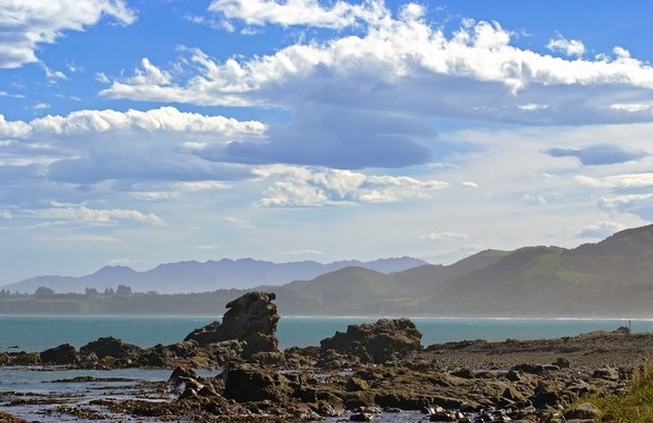 Kaikoura Coastline