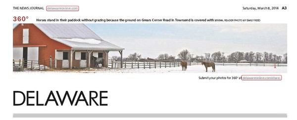 158th News Journal Panorama-Horses in Snow