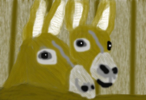 Baby Donkeys O631
