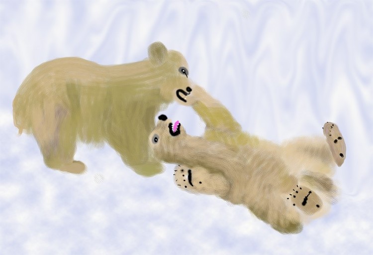Young Polar Fight O838