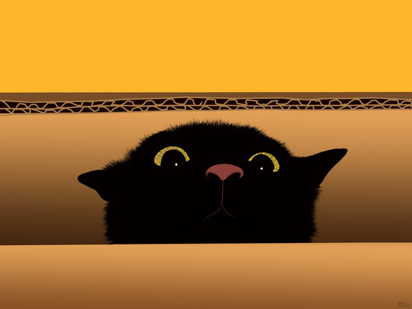 Surprise!
