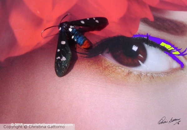 Dont Bug Me 3