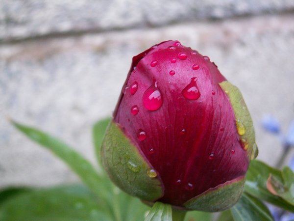 Colour Infusion
