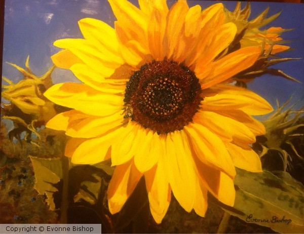 Sunflower Rhapsody