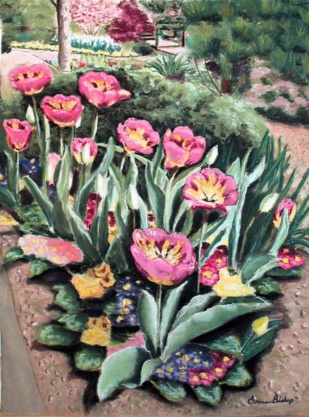 Tulip Rhapsody