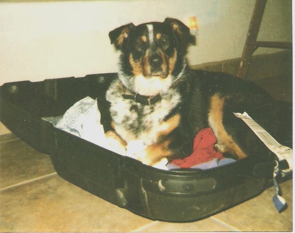 Can I go too?