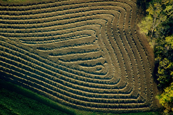 harvested  field 