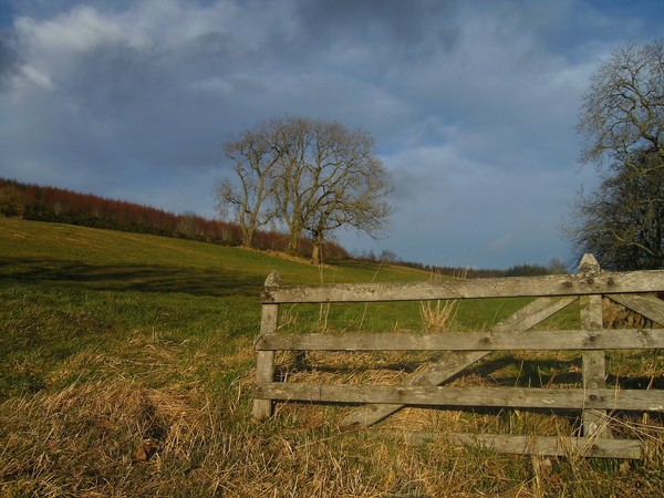 Gate