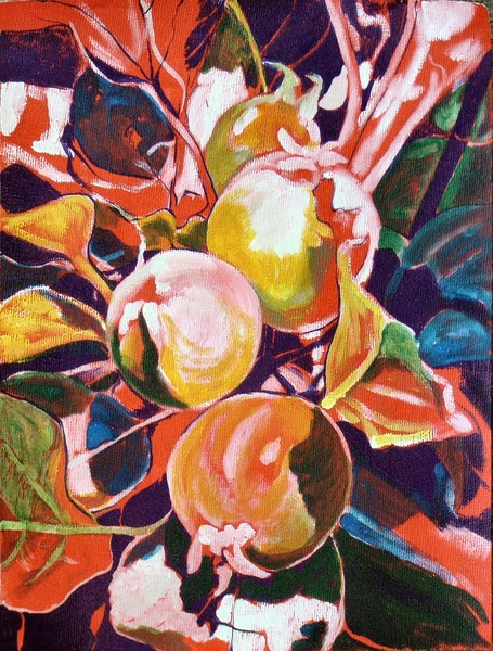 Apples in the Garden 1