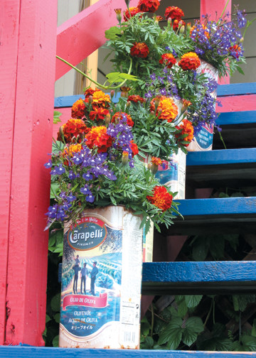 FLOWERS IN OLIVE OIL CANS 
