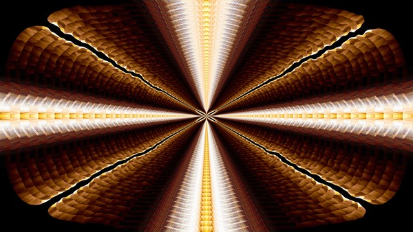 Walnut Universe