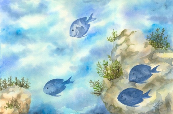 Under the Sea