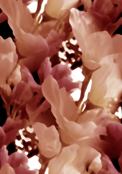 February Bouquet (Two)