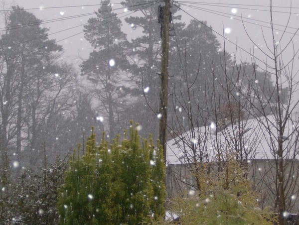 Snow!