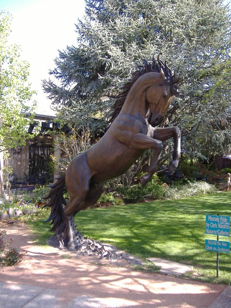 Horse