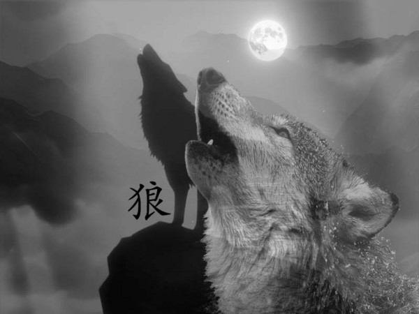 Curse of Wolves