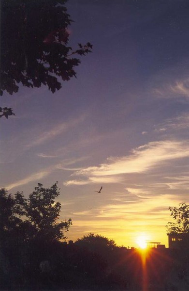 Lever de Soleil - Sunrise