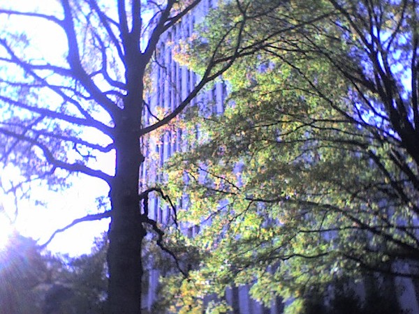 Atlanta City Hall in the light 