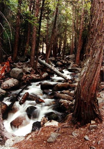 Rock Stream 2