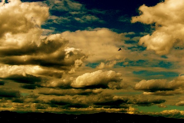 The Bird, the Plane, the Sky and the Clouds