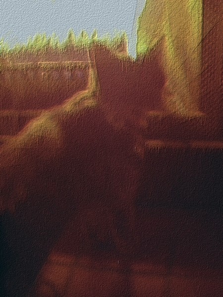 Cat Fire