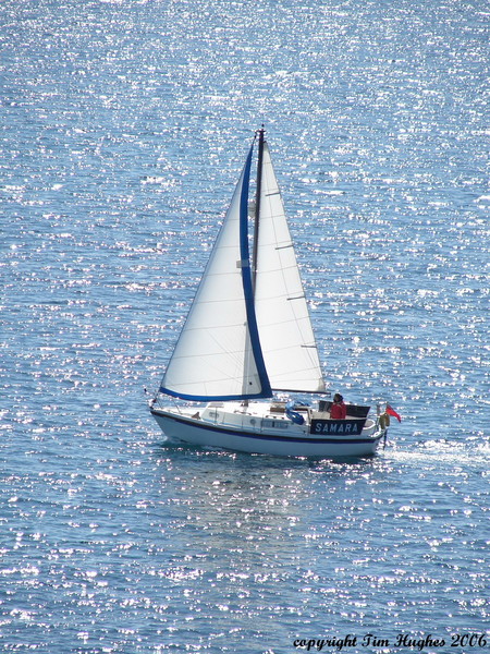 'Boat in St Mawes Bay'
