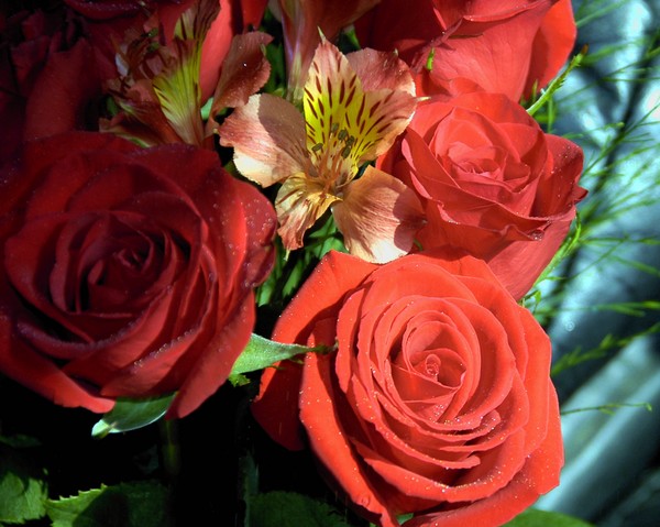 Leaning towards Valentines