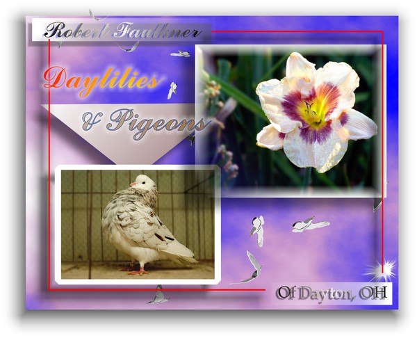 Of Birds & Lilies