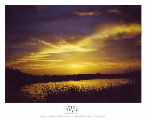On Golden Pond