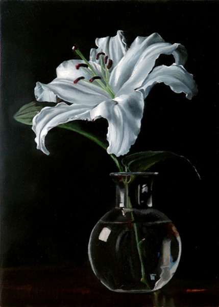 Lily