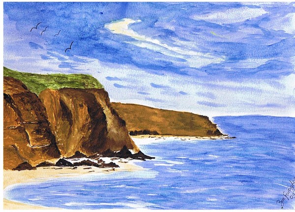 Smith's Beach Phillip Island Victoria Aust