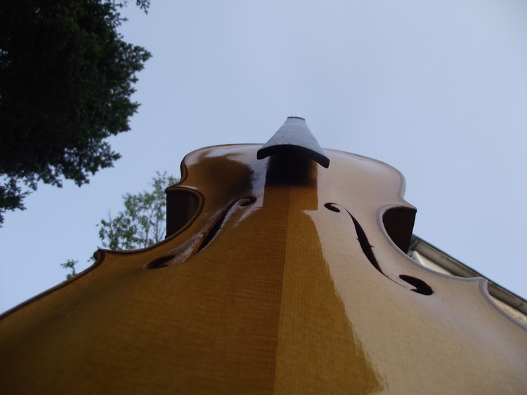 Violin Detail